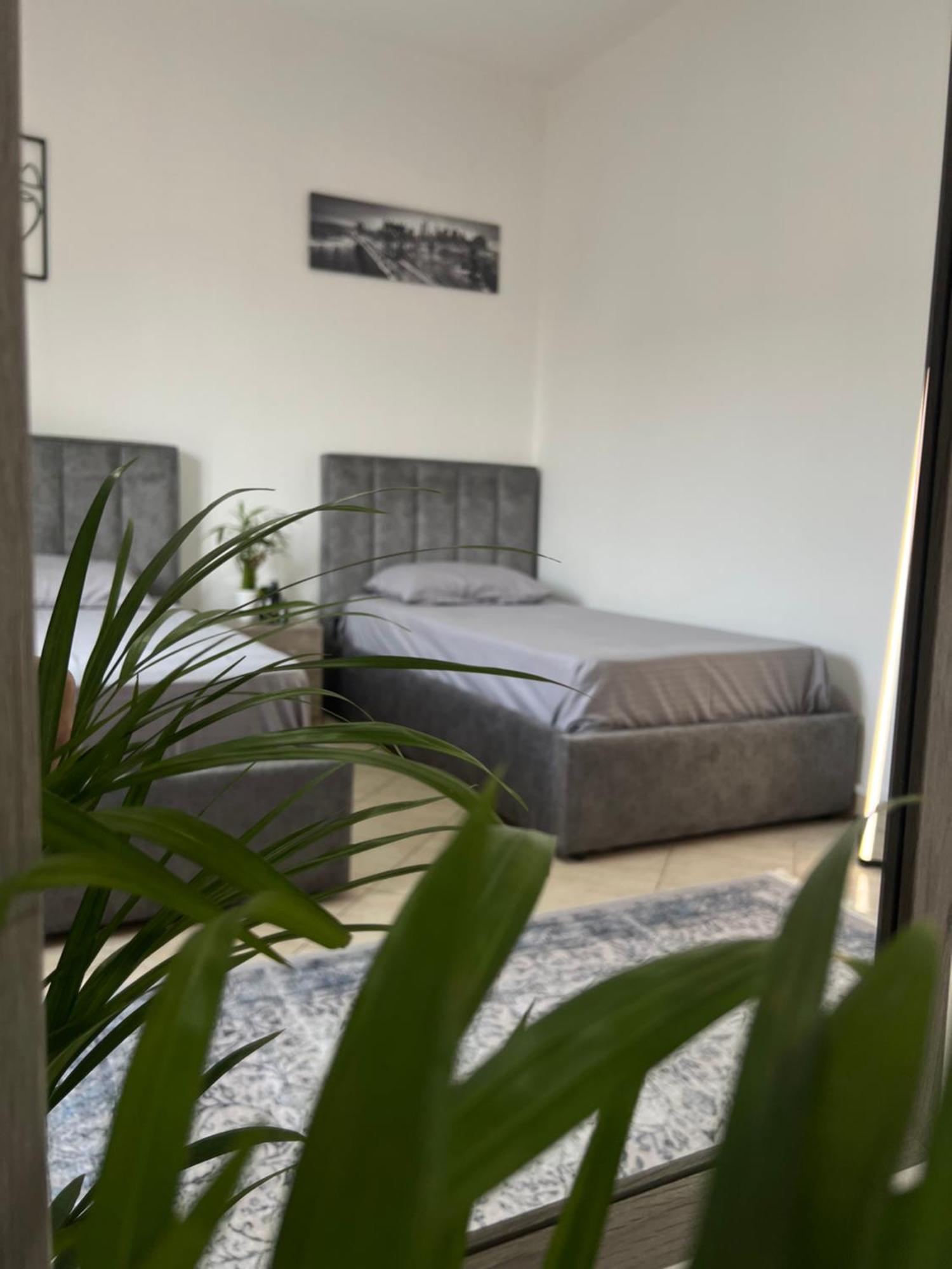 Hostel By Fenix Tiranë Eksteriør bilde