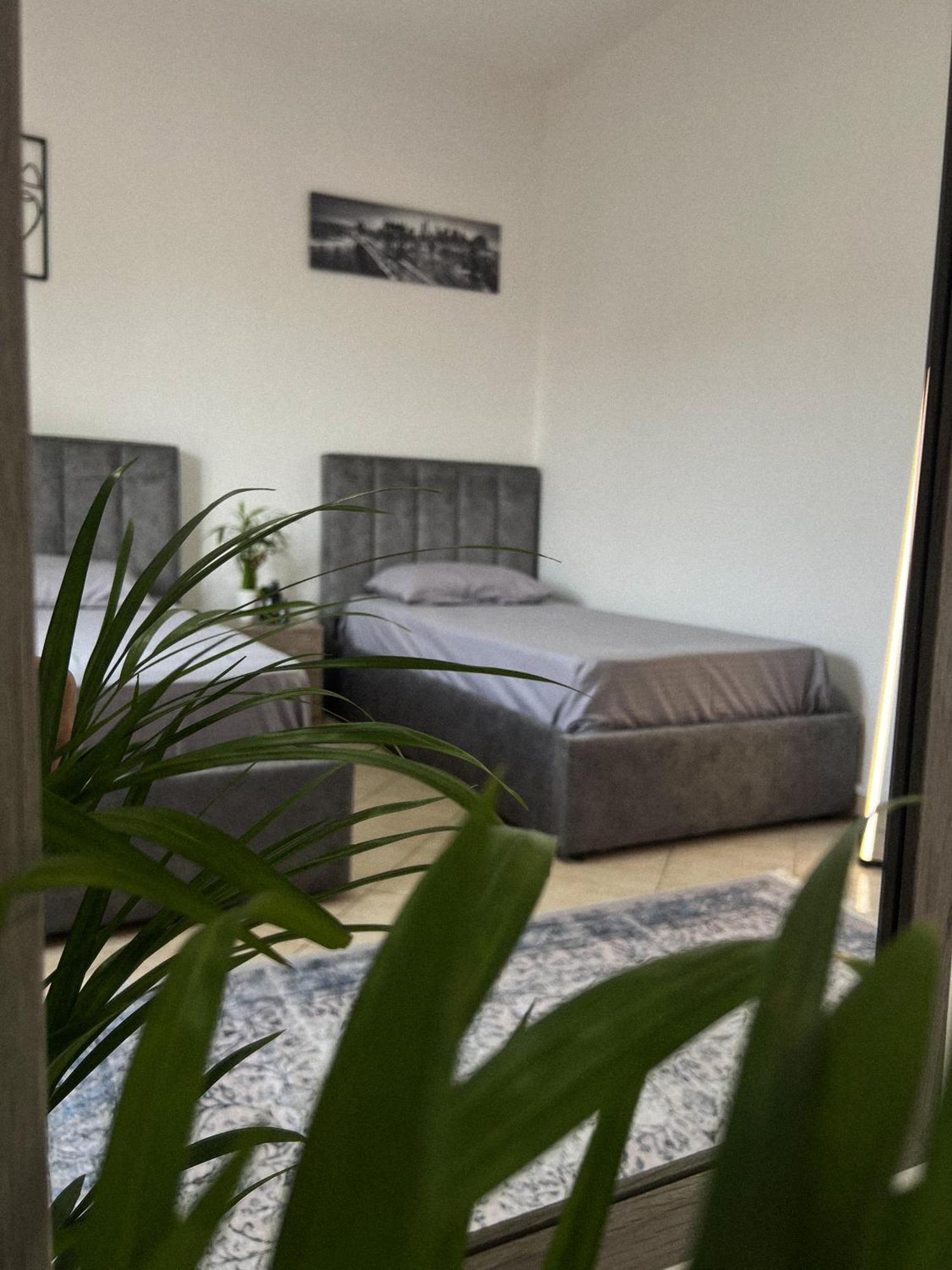 Hostel By Fenix Tiranë Eksteriør bilde